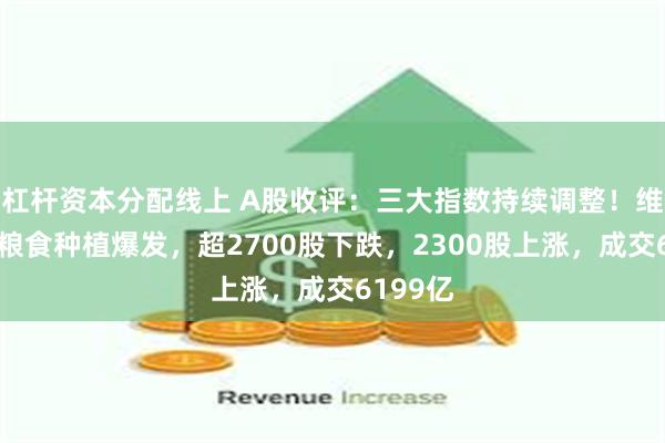 杠杆资本分配线上 A股收评：三大指数持续调整！维生素、粮食种植爆发，超2700股下跌，2300股上涨，成交6199亿