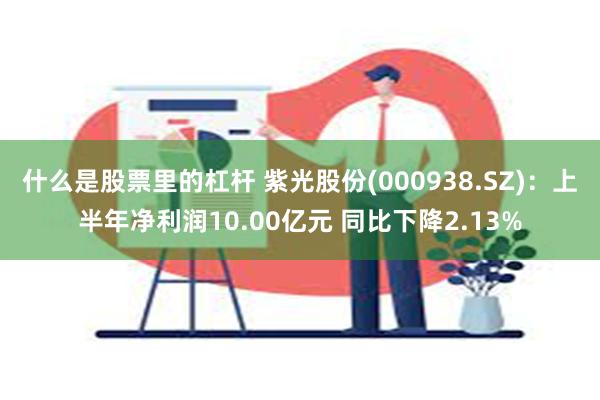 什么是股票里的杠杆 紫光股份(000938.SZ)：上半年净利润10.00亿元 同比下降2.13%