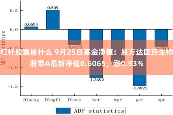 杠杆股票是什么 9月25日基金净值：易方达医药生物股票A最新净值0.6065，涨0.93%