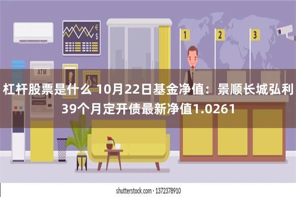 杠杆股票是什么 10月22日基金净值：景顺长城弘利39个月定