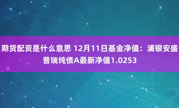 期货配资是什么意思 12月11日基金净值：浦银安盛普瑞纯债A最新净值1.0253