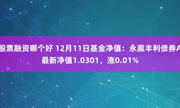 股票融资哪个好 12月11日基金净值：永赢丰利债券A最新净值1.0301，涨0.01%