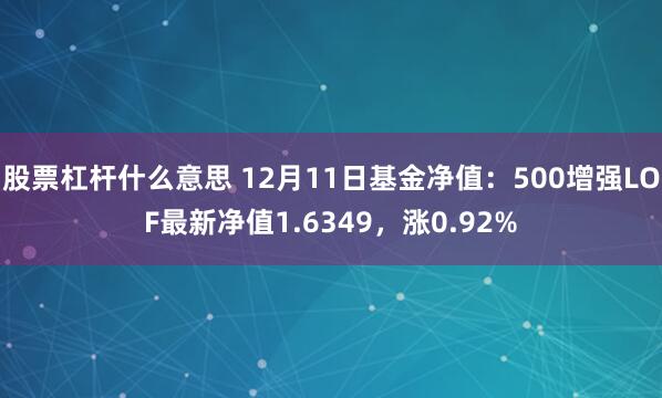 股票杠杆什么意思 12月11日基金净值：500增强LOF最新净值1.6349，涨0.92%