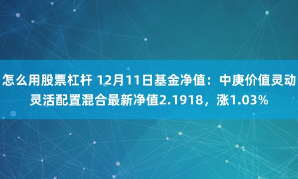 怎么用股票杠杆 12月11日基金净值：中庚价值灵动灵活配置混合最新净值2.1918，涨1.03%