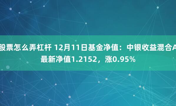 股票怎么弄杠杆 12月11日基金净值：中银收益混合A最新净值1.2152，涨0.95%