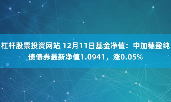 杠杆股票投资网站 12月11日基金净值：中加穗盈纯债债券最新净值1.0941，涨0.05%