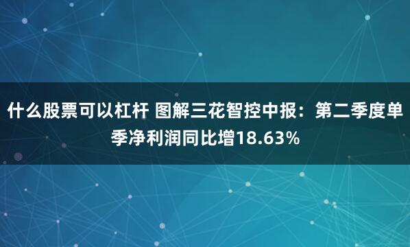 什么股票可以杠杆 图解三花智控中报：第二季度单季净利润同比增18.63%