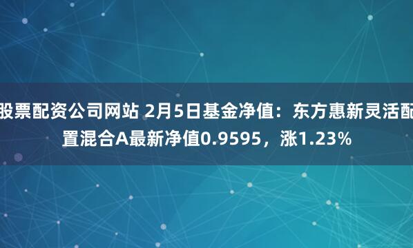 股票配资公司网站 2月5日基金净值：东方惠新灵活配置混合A最新净值0.9595，涨1.23%