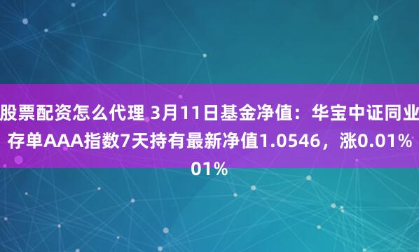 股票配资怎么代理 3月11日基金净值：华宝中证同业存单AAA指数7天持有最新净值1.0546，涨0.01%